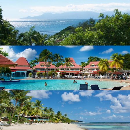Studio Olia A P&V - Plages, Piscines Et Vue Mer! サンタンヌ エクステリア 写真